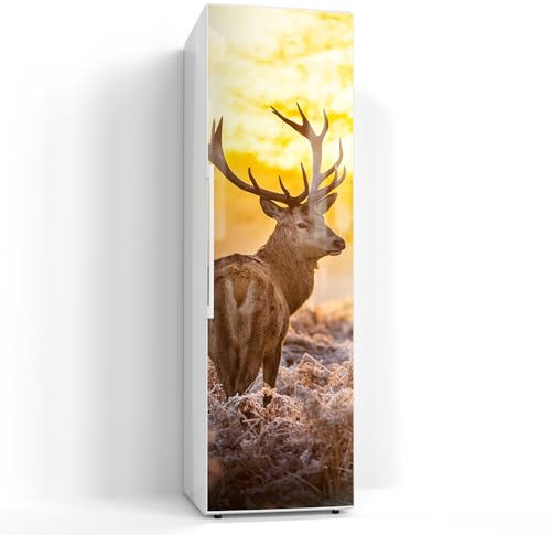 DEQORI Magnetfolie für Kühlschrank 60x200 cm | Motiv Hirsch am Wintermorgen | dekorative Magnetmatte Gefrierschrank Schutz | Magnet Deko-Folie selbstklebend, magnetisch & beschreibbar