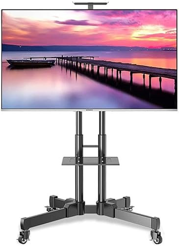 Rullande TV-stativ, Mobil TV-vagn, Rullande TV-vagn Mobilt golvställ för 32-65 tums platt-TV - Universalfäste med dubbla hyllplan och hjul - Belastning 75 kg/165 lbs(