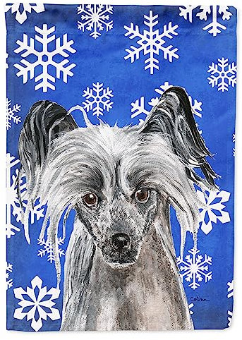 Caroline S Treasures Sc9606gf Chinois à crête Bleu Flocon de Neige Hiver Drapeau, Petite, Multicolore
