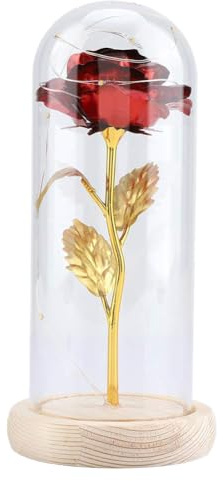 Fiore rosa del piccolo principe, fiore rosa eterno conservato con stringa LED in cupola di vetro.Buon per fidanzata, San Valentino, festa della mamma(Rosso)