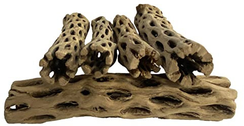Awesome Aquatic Natural Cholla Choya Wood 5 Pieces 6” for Shrimp Habitat and Food Treat Hermit Crabs Plecos Aquarium Decoration Lowers pH Hideouts and Chew Toys Reptiles Thorn Free Dried Organic