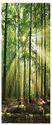 Türtapete Selbstklebend TürPoster 3D Türaufkleber Türfolie türsticker Foto Vinyl Tür Plakat für Schlafzimmer Toilette Verschönern Deko türen 100x200 cm Wald Sonnenschein