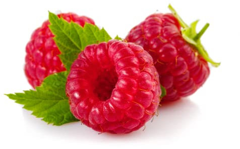Raspberry Plants, 'Cascade Delight', 1 x Full Plant in a 2 Litre Pot, Fruit Plants, Raspberries, Garden Fruit, Garden Ready and Ready to Plant, Premium Quality Raspberiies