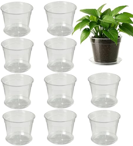 Yulokdwi Macetas para Plantar Pack de 10 Piezas Transparentes para jardín