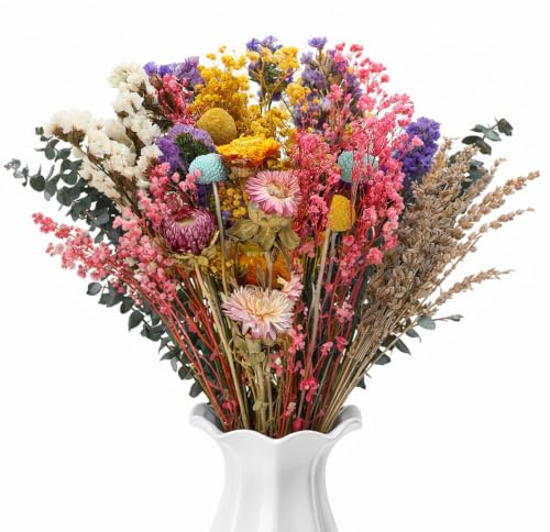 Xialvyu44 Stück Trockenblumenstrauß Deko Set, 8 Sorten Trockenblumen Strauß | Bunt Getrocknete Blumen, Natürlichen Strohblumen Trockenblumenstrauß für Wohnzimmer Tischdeko Home Hochzeit Vasen