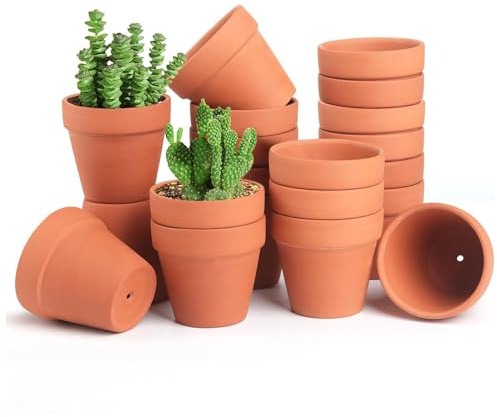 YALiya 20 Pezzi Vasetti Terracotta Piccoli, Vasi per Piante, Mini Vaso da Fiori, con Fori di Drenaggio, per Cactus, Piante Grasse