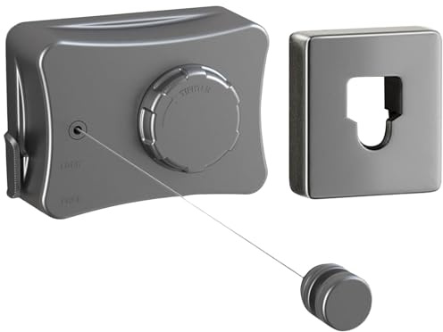 Domigard Tendedero retráctil, 5,1 m de acero inoxidable para ahorrar espacio, montado en la pared para uso en interiores y exteriores, cuerda de lavandería invisible ajustable (Gris)