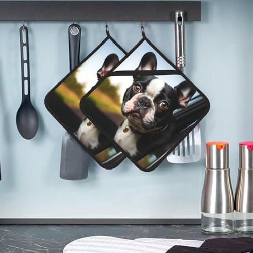 Topflappen mit Tasche, Motiv: Boston Terrier, hitzebeständig, rutschfest, mit Tasche, bequemes Baumwollfutter, Ofenhandschuhe, heiße Pads zum Kochen, Backen, Grillen, 20,3 x 20,3 cm, 2 Stück