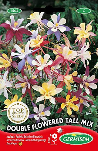 Germisem Graines Ancolie double variée DOUBLE MIX