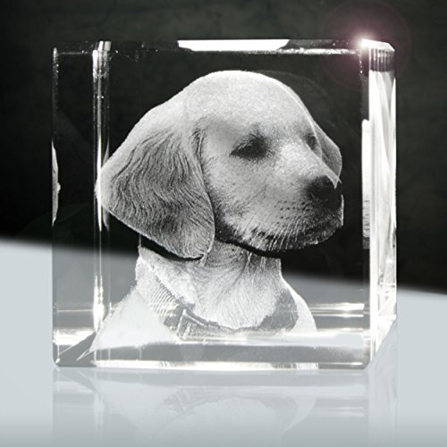 3Dglas 3D Glaslaserfoto | Würfel 50mm | 1 Person oder Tier zB als Geschenk mit deinem lieblings Tier