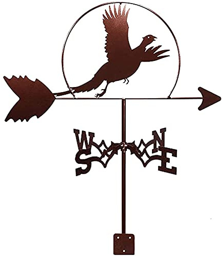 Girouette en acier inoxydable pour oiseaux - Indicateur de direction du vent - Durable - Rétro - Outil de mesure professionnel