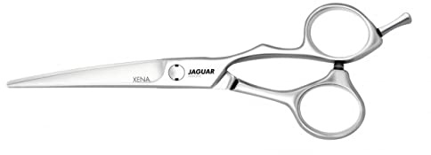 Jaguar Xena 5.5 Silver Line
