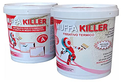 MASTERBRICO.COM Pittura Antimuffa per Interni MuffaKiller, Kit a due Componenti A+B, da 1 litro + 1 litro, Bianca