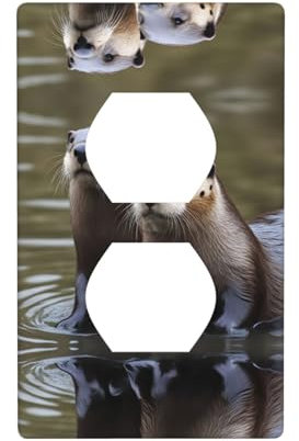 Placca da parete a doppia presa per interruttore della luce, decorazione per la casa, 11,4 x 7,9 cm