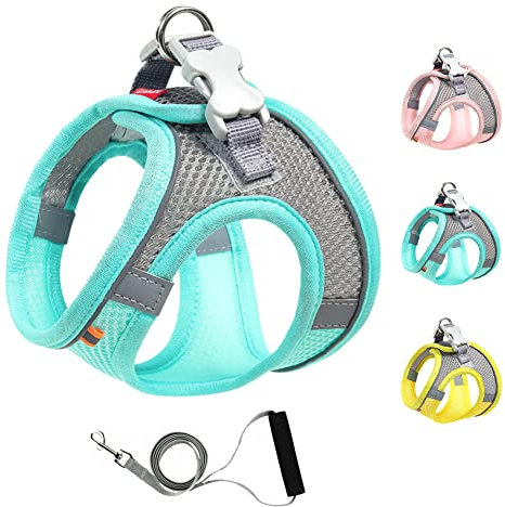 Mitili Mehrzweck Hundegeschirr mit Leine Set, Anti Zug Geschirr, Reflektierend Weich Gepolstert Hunde Geschirr, Air-Mesh Brustgeschirr für Kleine Mittlere Hunde, Haustiere, Katzen (Mintgrün, XS)