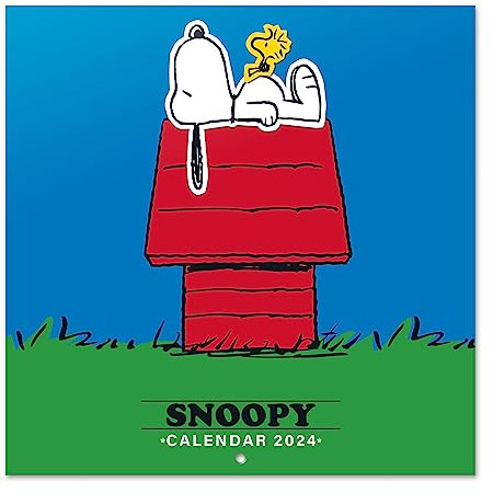 Grupo Erik Kalender 2024 Wandkalender 2024 - Peanuts Snoopy Kalender 2024 Familienplaner 30 x 30 cm Jahreskalender 12 Monate