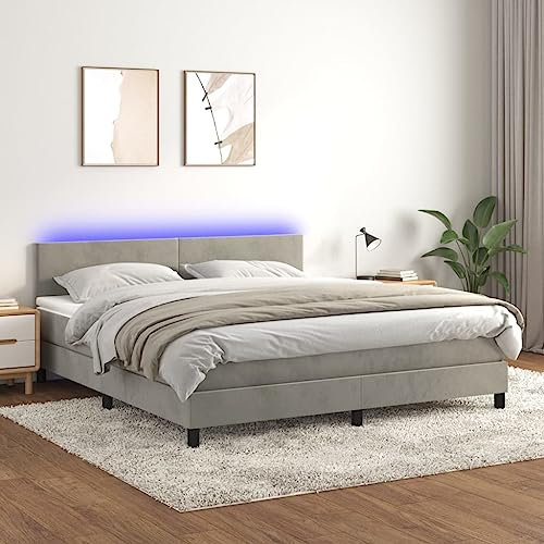 Cozynest Polsterbett Bett Einzelbett Bettrahmen Bettgestell Lattenrost Hotelbett Schlafzimmerbett Boxspringbett mit Matratze & LED Hellgrau 160x200 cm Samt