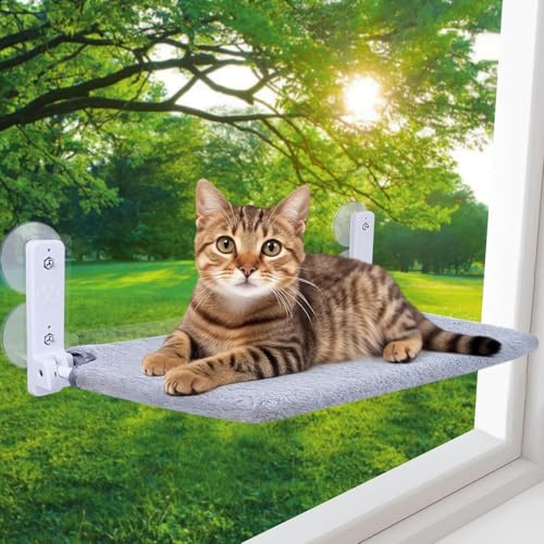 Katzenbett Hängematte und Fenster, 52x30cm, stabil für Katzen, mit Abnehmbarem Plüschunterlagen, faltbar, 4 Starkes Saugnäpfe hält 25kg (Grau) (Grau-XL)