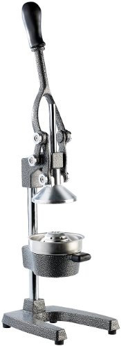 Rosenstein & Söhne Orangenpresse: Professionelle Hebel-Zitruspresse Premium, Hammerschlag lackiert, XL (Granatapfelpresse, Orangenpresse Hebel, rosenstein und Söhne Saftpresse)