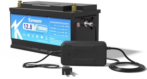 12V 100Ah LiFePO4 Battery Lithium Iron Phosphate Battery Up to 7000 Deep Cycle with BMS for Campers RV Solar Marine Golf Carts, Emergency Power, Run in Series or Parallel