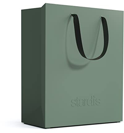 stardis binbox Design Cestino rettangolare elegante con manici per ufficio, in plastica, cestino per la spazzatura (verde)