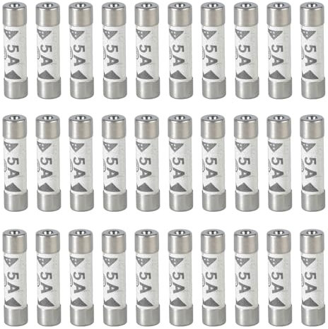 Lot de 30 fusibles tubulaires en céramique 5 A 6 x 25 mm Fusibles électriques pour coffre-fort domestique Prise secteur Fusibles durables