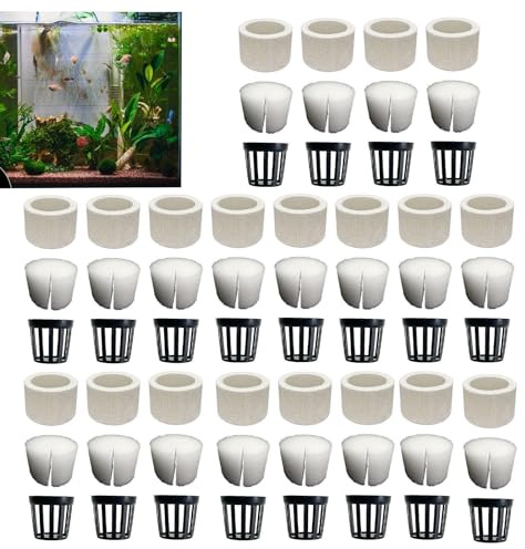 Poids de Plante en céramique pour Aquarium – Anneau de Support pour Plantes Aquatiques | Base de Panier de Fixation en céramique pour Plantes Aquatiques, Accessoires décoratifs pour Aquarium