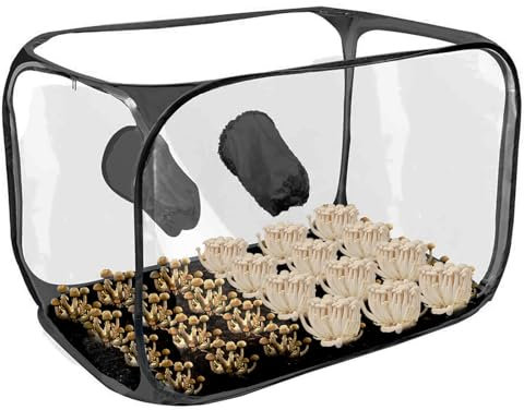 Pilzanbau Container - Pilzanbau Immer Noch Luftbox | Faltbares Transparentes Pilz Zelt -Kit | Wachstum Garantiert - Ideale Pilzgeschenke Feinschmecker/Gartenspaß, Einfach Und Köstlich Zelt Faltbares