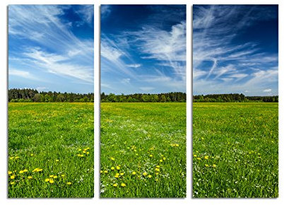 Paul Sinus Art 130x90cm – Keilrahmenbild grüne Sommerwiese Löwenzahn Bayern 3teiliges Wandbild auf Leinwand und Keilrahmen - Fotobild Kunstdruck Artprint
