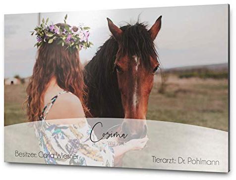 Pferdeschilder Boxenschild mit eigenem Foto und Wunschtext | AluDidond Alu Verbundplatte | 30x20 cm | sofort personalisierbar | inkl. Brandzeichen & Motiven