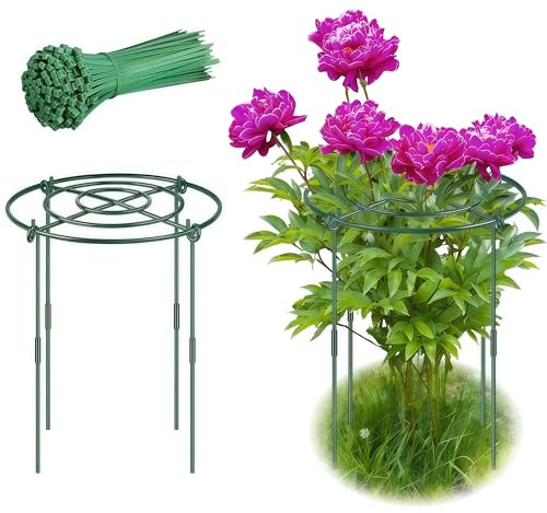 2 Pack Peony Cages and Supports, 11.8 Plant Support Ring with Detachable Extension Rod, Extends to 23.6 H, Heavy Flower Brace Ring Grow Through Plant Support Stakes for Tomato Hydrangea