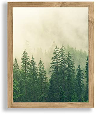 Monzetta Deluxe Bilderrahmen Posterrahmen 40x120 cm Fichte Antik Dekor cm Schritt Formatwahl 120x40 cm RW weiß Front Antireflex