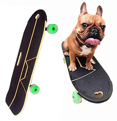 KIDDEX Hunde-Skateboard mit Surfständer, Haustier-Skateboard, Skateboard mit bunten PU-Rädern für Englisch-Französische Bulldogge, Starke Brettoberfläche, Schwerkrafthalterung 80x30cm