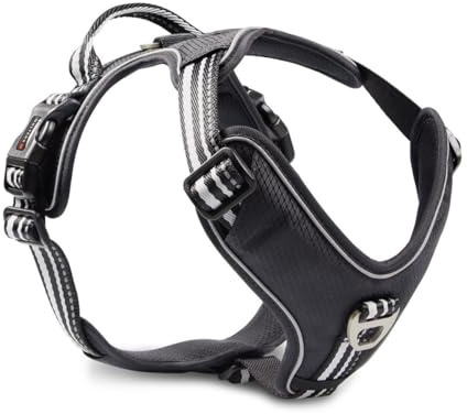 Wolters Geschirr Active Pro, Größe:45-52.5 cm, Farbe:schwarz/schwarz