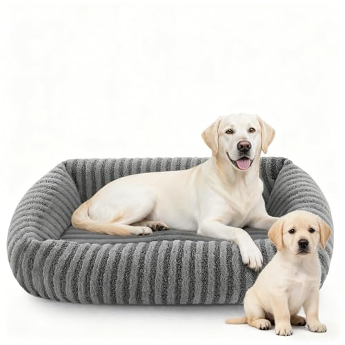 Pawk Detachable Medium Dog Bed Fill Large Particle Memory Sponge and Cotton, Dog Beds Medium with Zipper for Easy Disassembly&Cleaning, Pet Sofa Bed for 20lbs Border Collie, 63x53x18cm