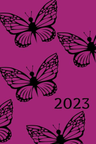 2023 Bullet Journal
