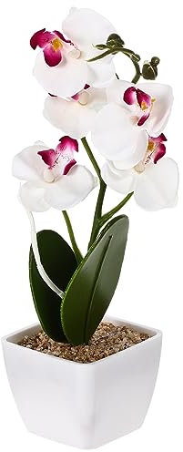 Ciieeo Künstliche Phalaenopsis Im Topf Als Dekoration Realistische Orchideenblüte Als Blumenbonsai Simulierter Blumenschmuck Für Wohnzimmer Schlafzimmer Esszimmer Und Arbeitszimmer