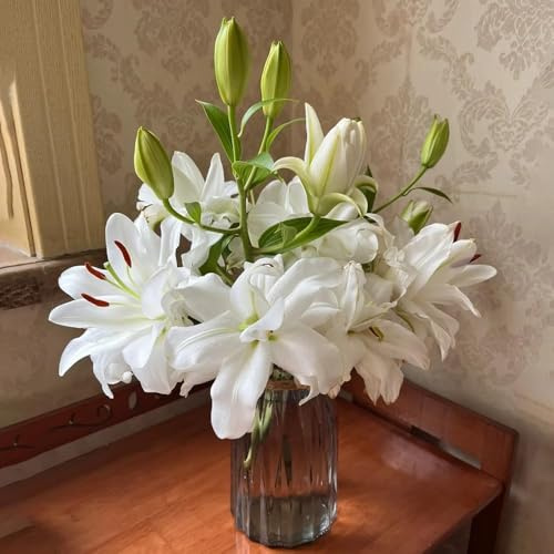 lilien - deko herbstblumen winterhart topfpflanzen exotische dekopflanzen zimmerpflanze blumenzwiebeln mehrjährig winterhart 8zwiebeln