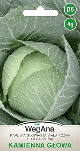 WegAna White Head Kale Kamienna Glowa Seeds 4g Sena kålfrön, robusta grönsaksfrön, grönsaksfrön, odlingsfrön