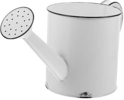 CVNIMV Regadera Colador De Líquidos Olla Regadera Vegetal Bonsai Maceta De Agua Flor Regadera De Metal Regadera Hervidor De Agua Botella De Spray Planta Hierro Blanco