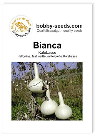 Kürbissamen Bianca Portion