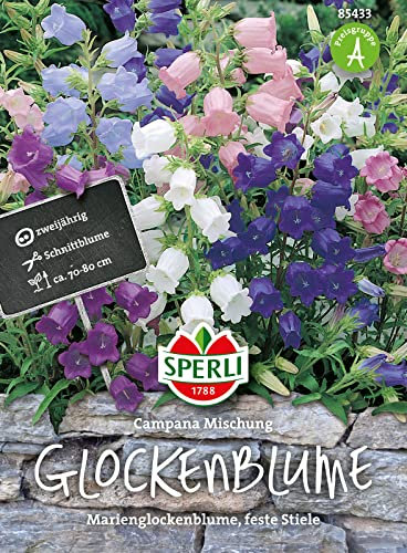 Sperli-Samen Glockenblumen SPERLI's Campana Mischung