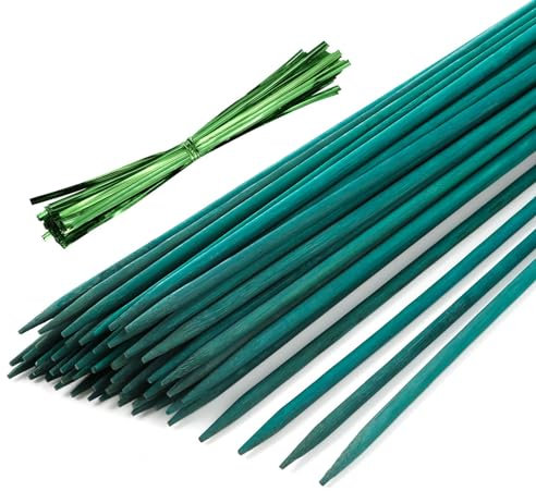 KTHZI 30 Pcs 30CM Plant Sticks Bamboo Green Support Canes Floral Wooden Stakes with 60 Split Twist Ties Metallic Sign Posting Sticks for Garden Flowers