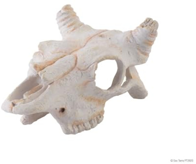 Exo Terra Büffelschädel, sicheres Versteck für Reptilien und Amphibien, klein, 1 Stück (1er Pack)