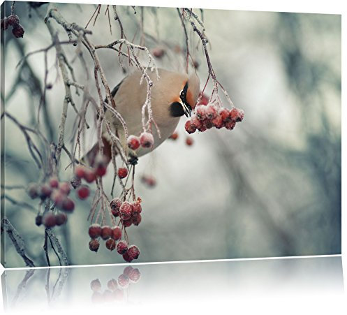 Pixxprint Kleiner Vogel im Vogelbeerbaum, Größe: 100x70cm, Leinwandbild, fertig gespannt, Wandbild, Dekoration, Kunstdruck, kein Poster