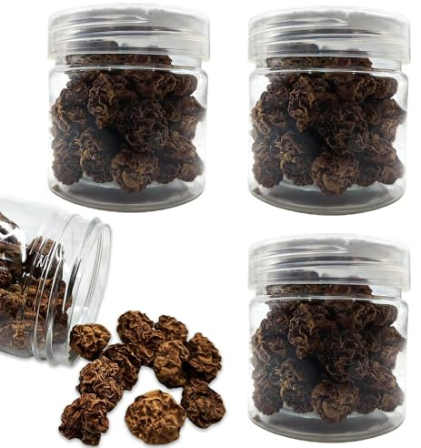 TOATELU Lot de 4 boîtes / 100 g de jouets pour chat Matatabi aux fruits séchés : article à mâcher naturel, morilles séchées, stockage pratique des champignons séchés, graines Nep Nep, pour le jeu et