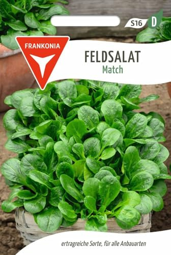 FRANKONIA Canónigo, Matcha - Semillas de hortalizas, semillas de lechuga (Valerianella locusta)