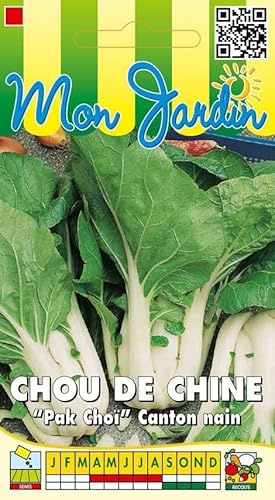 Sachet de graines de Chou de Chine Canton nain Pak Choi - 3 g - LES GRAINES BOCQUET