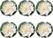 SquarezhenBo 6 Pcs White Artificial Lotus Large Floating Lotus Flowers Faux Water Lily Flowers Fish Pond Artificial Plants with Artificial Lily Pads