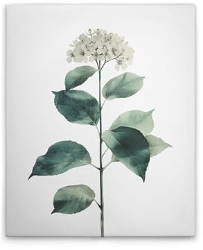 A.S. Création DD132922 Hortensia Tableau sur toile Blanc/vert 40 x 50 cm